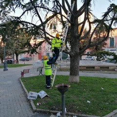 Illuminazione natalizia per Palazzo di Città e piazza Municipio