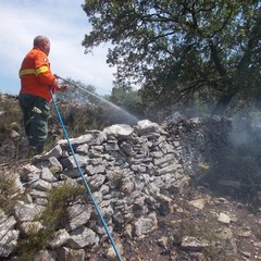 incendio villa e boschetto
