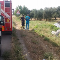 incidente stradale sulla sp 231