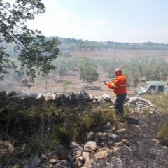 incendio villa e boschetto