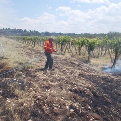 incendio villa e boschetto