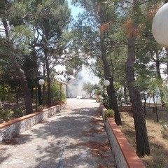 incendio villa e boschetto