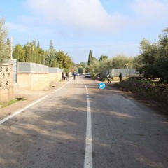 Auto fuori strada sulla S.P. 43 a poca distanza dal Santuario del SS. Salvatore