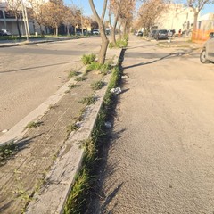 Zona PIP invasa dai rifiuti delle attività della ristorazione