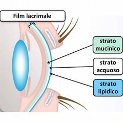 L’importanza del film lacrimale all’interno dell’occhio