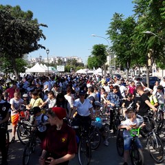 Bimbinbici 2019