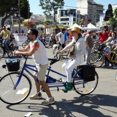 Bimbinbici 2019