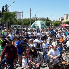 Bimbinbici 2019