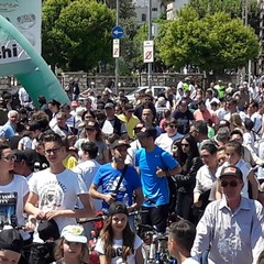 Bimbinbici 2019