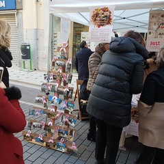 FIORI D'ACCIAIO