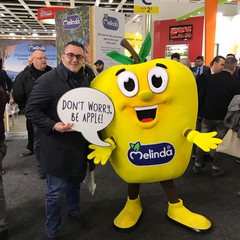 Chiude Fruit Logistica di Berlino