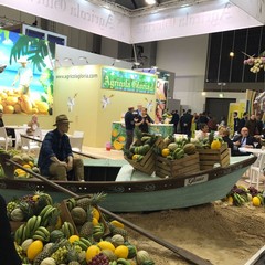 Chiude Fruit Logistica di Berlino