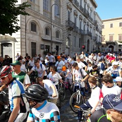 Bimbinbici 2019