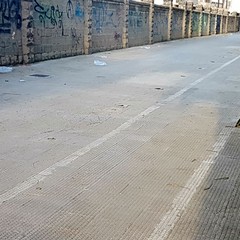 Mine vaganti sui marciapiedi, incubo degli andriesi