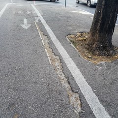 Mine vaganti sui marciapiedi, incubo degli andriesi