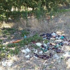 rifiuti di ogni tipo dentro il boschetto di Sant'Agostino