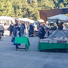 Parziale riapertura del mercato settimanale ad Andria