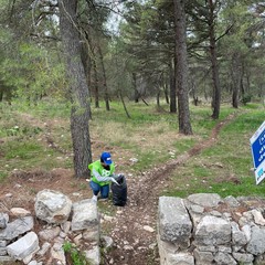 decine di bustoni di rifiuti vari raccolti nella pineta di Castel del Monte