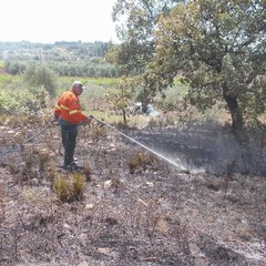 incendio villa e boschetto