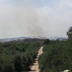 Oltre 350 ettari di pascolo e semi arborato in fumo