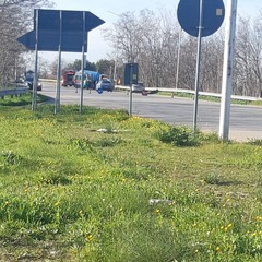 Tragedia sfiorata sull'Andria Corato: camion sfonda guard rail