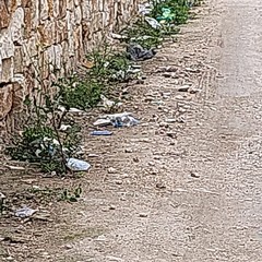 Giro di vite sull'abbandono dei rifiuti