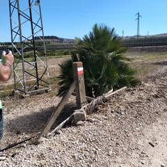 La via Francigena, una valida occasione di sviluppo per il turismo culturale