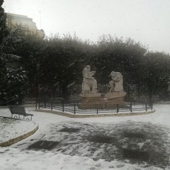 Andria colpita dal maltempo