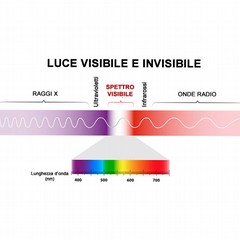 Occhiali da sole: prima la qualità