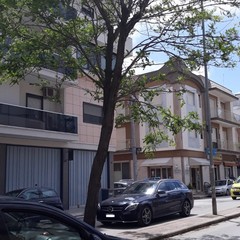 via Montegrosso e via Puccini caduta alberi