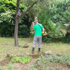Volontari di Legambiente Andria impegnato nei lavori di manutenzione del Giardino