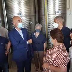 Ministro dell’Agricoltura Bellanova in visita ad Andria al Frantoio Muraglia