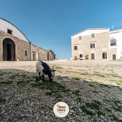 cappella della masseria di San Vittore