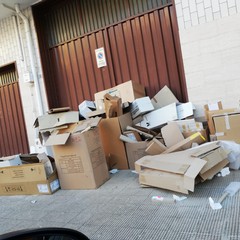 perennemente in ritardo la raccolta carta in via Goffredo Normanno