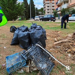 3place in un'azione di cleanup nel "nuovo" bosco urbano di Andria