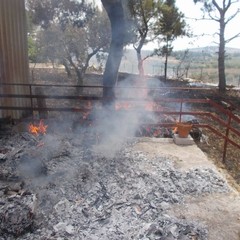 incendio villa e boschetto