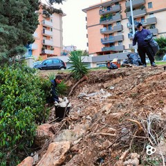 3place in un'azione di cleanup nel "nuovo" bosco urbano di Andria