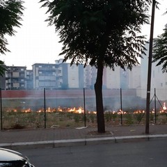 Incendio di sterpaglie nei pressi di via Vecchia Barletta