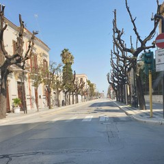 le strade di Andria cominciano finalmente a svuotarsi