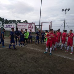 n Copia