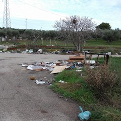 scempio ambientale per il canale Ciappetta Camaggio