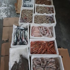 Polizia locale sequestra 50 kg di pesce a venditore abusivo