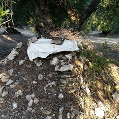 Furti di auto, tra gli ulivi “gli arnesi del mestiere”