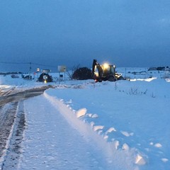 Militari della Pinerolo in azione sulla Murgia innevata