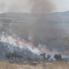 Oltre 350 ettari di pascolo e semi arborato in fumo