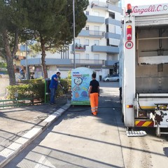 la cura dei giardinetti di piazzale Giuseppe Colasanto