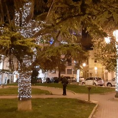 Illuminazione natalizia per Palazzo di Città e piazza Municipio