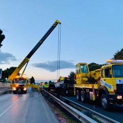 incidente sulla sp 231 tratto Corato Andria