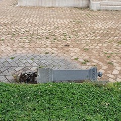 fontana divelta al Monumento ai Caduti
