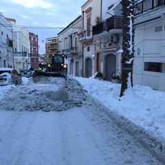 Militari della Pinerolo in azione sulla Murgia innevata